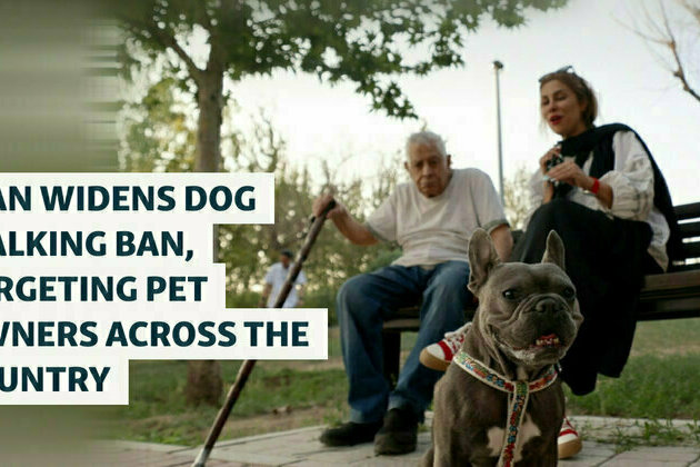 Iran Widens Dog Walking Ban, Targeting Pet Owners Across The Country