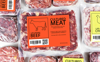 Alternative protein: How fermentation could become a £10bn industry for the UK