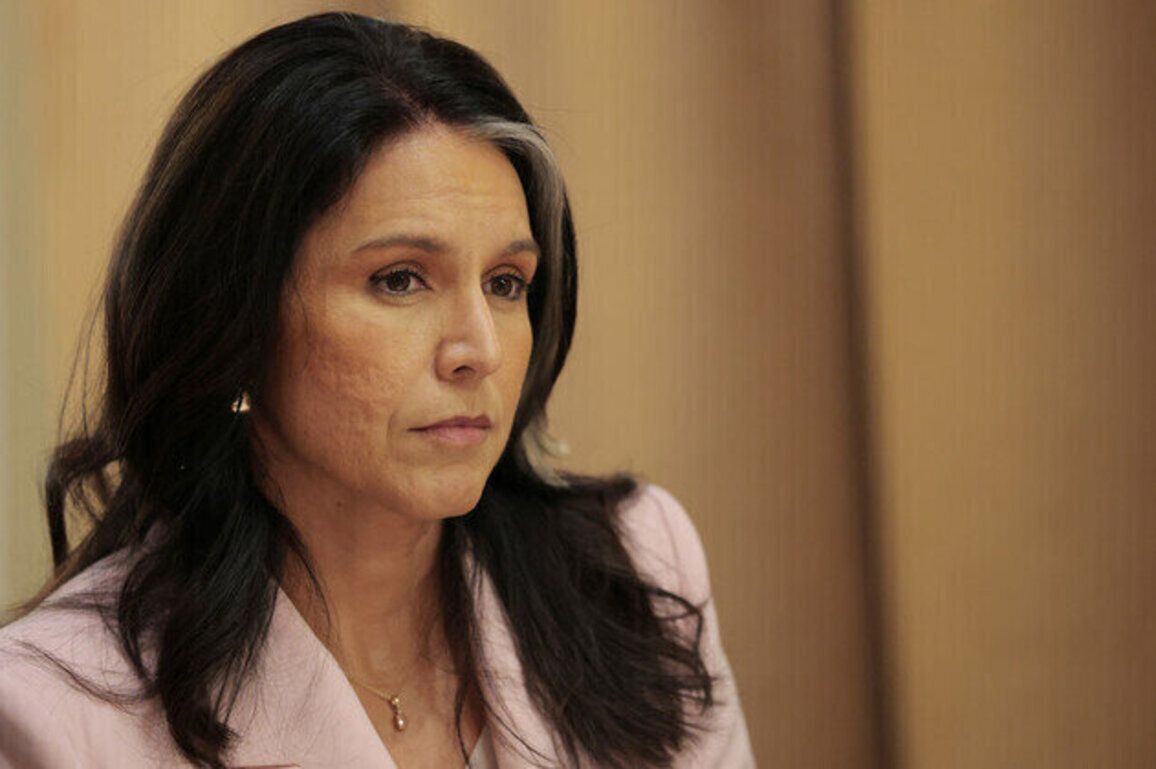 Tulsi Gabbard quits Trump administration