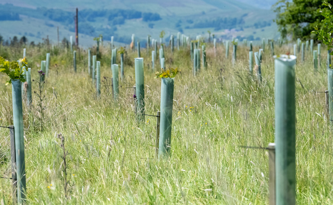 Tree planting not the only way to reduce emissions in Wales, says union