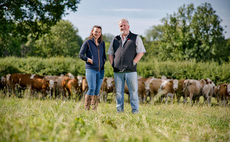 Simmentals stand the test of time on Warwickshire farm