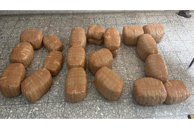 DRI seizes 105 kg ganja in Bihar, arrests 2; narcotics worth Rs 46.5 crore seized in state over past year