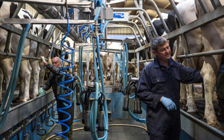 How to build a strong team on your dairy farm