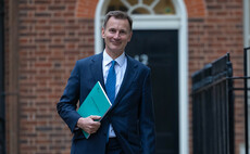 Autumn Statement: Hunt promises tax cuts and green growth