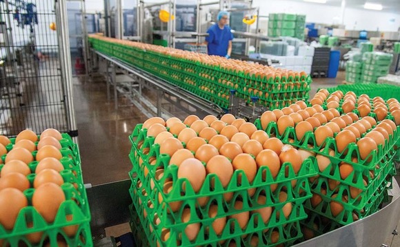 Rapid expansion in free-range is 'not required' to meet retail cage-free egg pledges