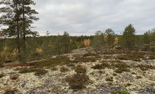  RMI's new Kola outcrop