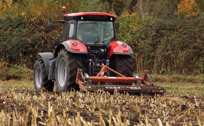 Evaluating maize crop establishment this year