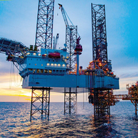 Govt has undertaken a series of strategic reforms for self-reliance in hydrocarbon production
