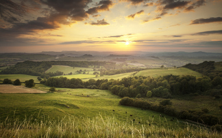 How a Strategic Nature Network could unlock £600bn in benefits for the UK