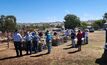 A number of field days have been run at Producer Demonstration Sites as part of a ewe lamb joining project, including this one at Kambah Poll Merinos, Jugiong, New South Wales (near Harden) in March. 