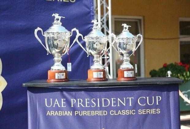 For first time, Trkiye to host 10th round of UAE President Cup for Purebred Arabian Classic Series Sunday