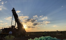  Drilling has resumed this month at Antipa Minerals’ projects in the Paterson Province