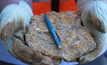  Trace fossils can provide an insight into the chemical makeup of the rock being drilled into