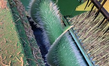  Prickly chill: The top cross auger on Rob Ruwoldt’s swather front demonstrates the effects of working on a cold October morning in the Wimmera. Photo: Rob Ruwoldt.