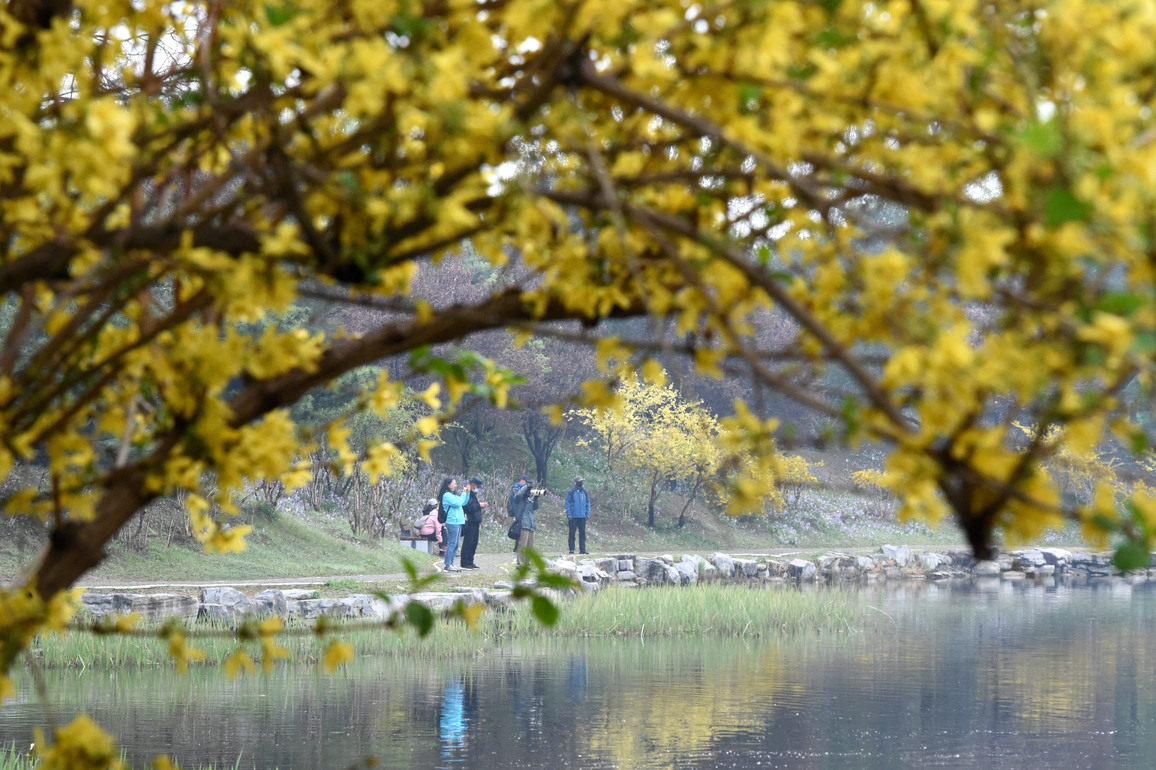 CHINA-BEIJING-YUANMINGYUAN PARK-SPRING-TOURISM (CN)