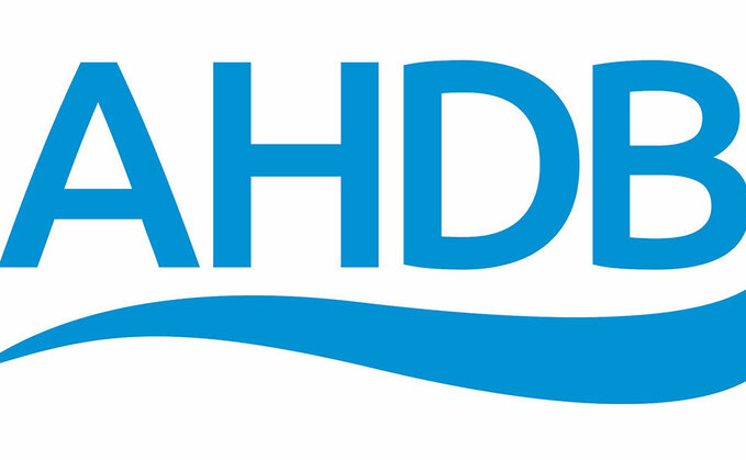 AHDB recommends levy increase to Ministers
