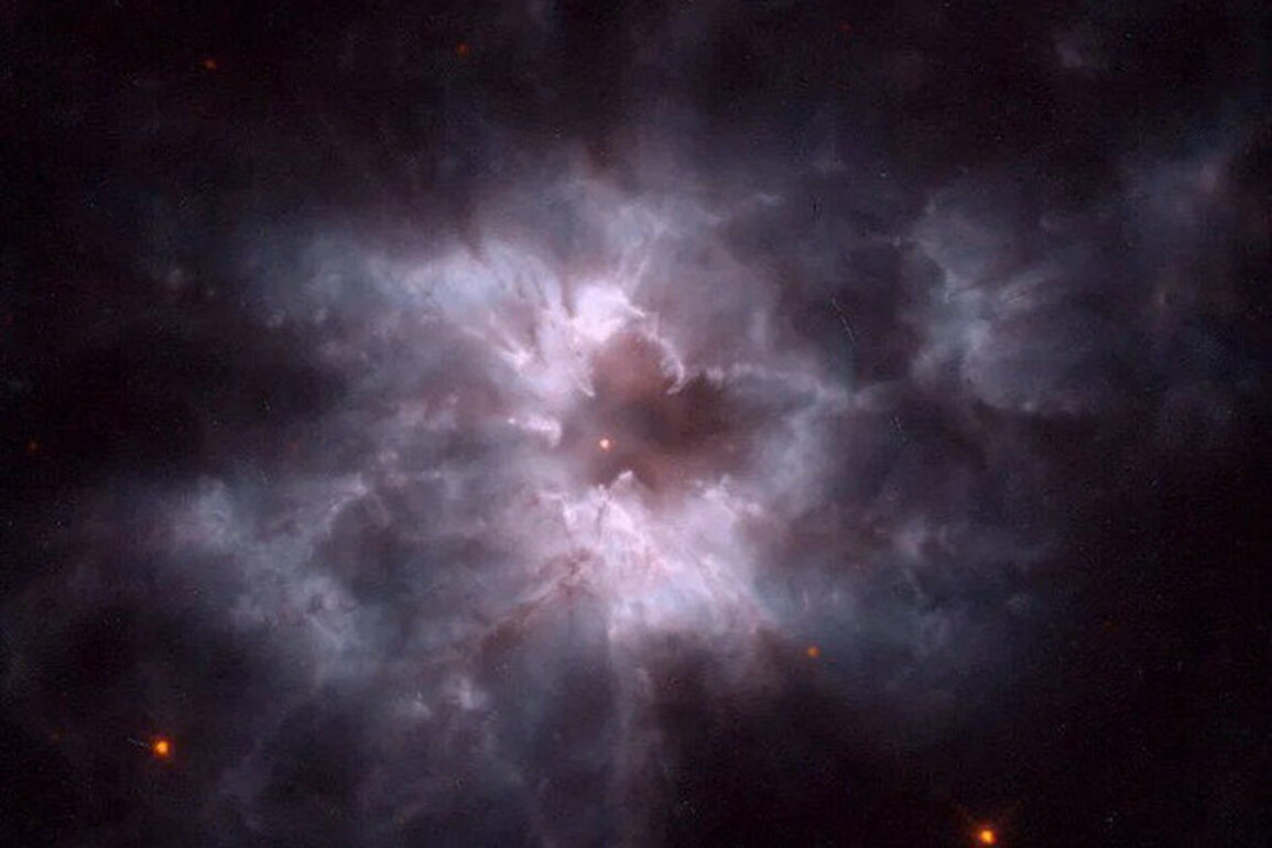 Earth-size stars and alien oceans - an astronomer explains the case for life around white dwarfs