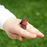 Here's how to create a more nature-literate society