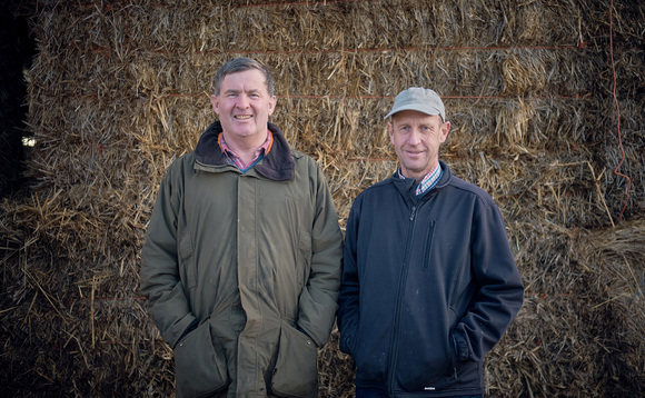 How have two brothers improved efficiency on mixed arable and dairy farm in Hampshire?