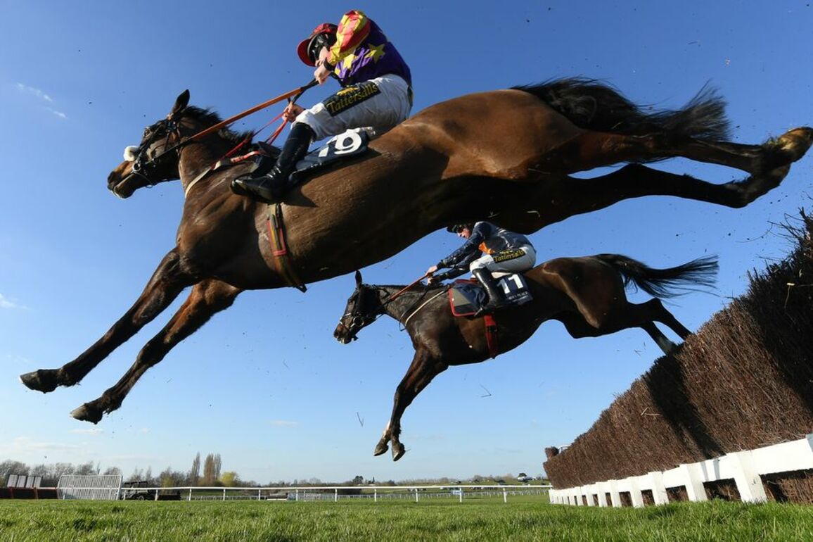 Co Fermanagh-trained horse equals remarkable point-to-point record