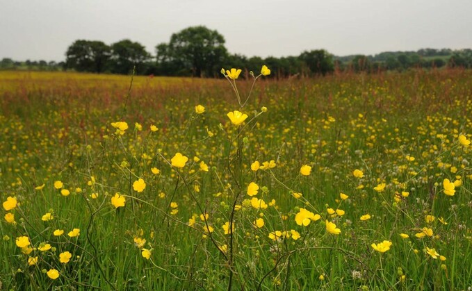 Cereals 23: Target net zero actions with new short course