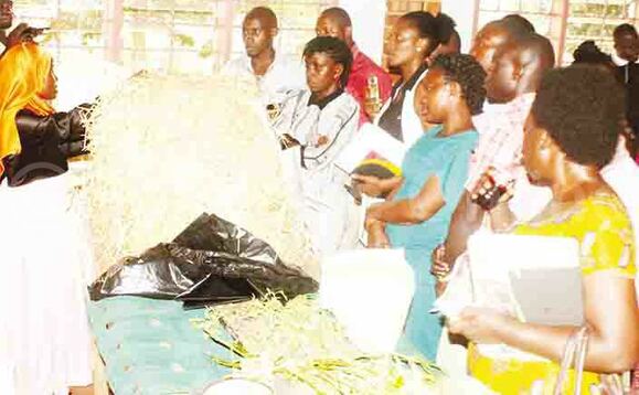 Zainah Nampijja (ku kkono) ng’asomesa abalunzi engeri y’okulisaamu ente ne bagifunamu amata nga mangi. Zainah Nampijja (ku kkono) ng’asomesa abalunzi engeri y’okulisaamu ente ne bagifunamu amata nga mangi.