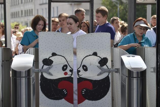 China's giant pandas draw world attention from national treasure to global cultural icon