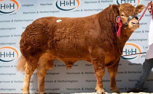 Partylight shines at 50,000gns