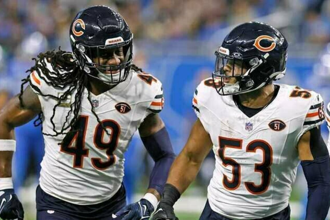 Bears 2025 position preview: Linebackers