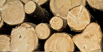 Grafton commits to responsible timber purchasing