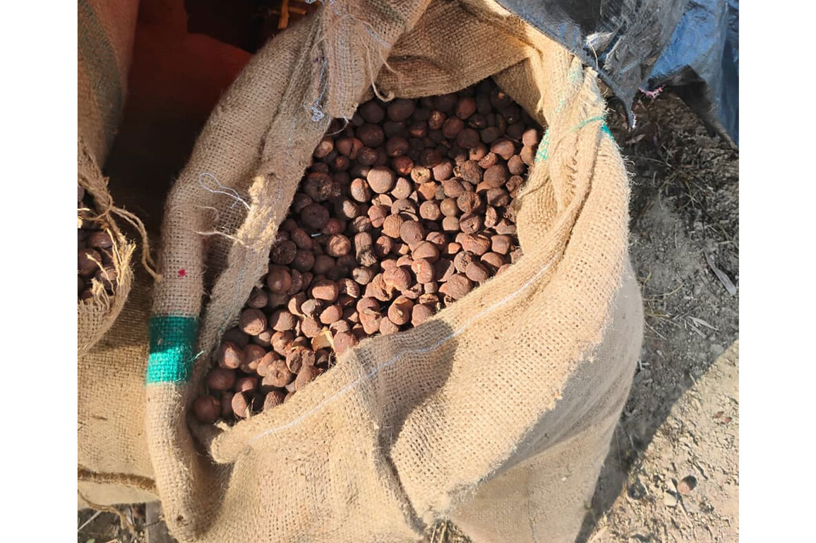 Assam Rifles seizes illegal consignment of Betel Nuts worth Rs 1.7 crore in Manipur