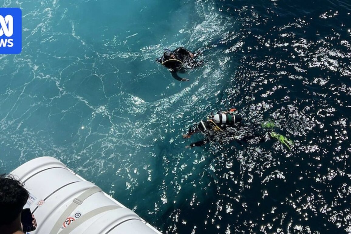 Divers say Perth Diving Academy left them behind in ocean during dive charter