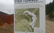 The fish tunnel plan for Perpetua Resources' Stibnite in Idaho, USA