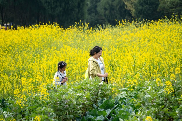 #CHINA-QINGMING FESTIVAL-HOLIDAY (CN)
