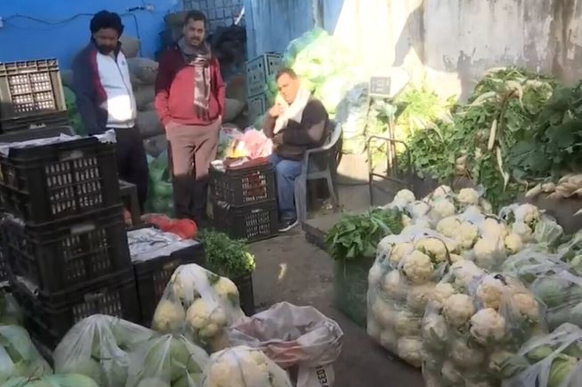 J-K: Organic farming boom in Rajouri's Sunderbani transforms district into economic powerhouse