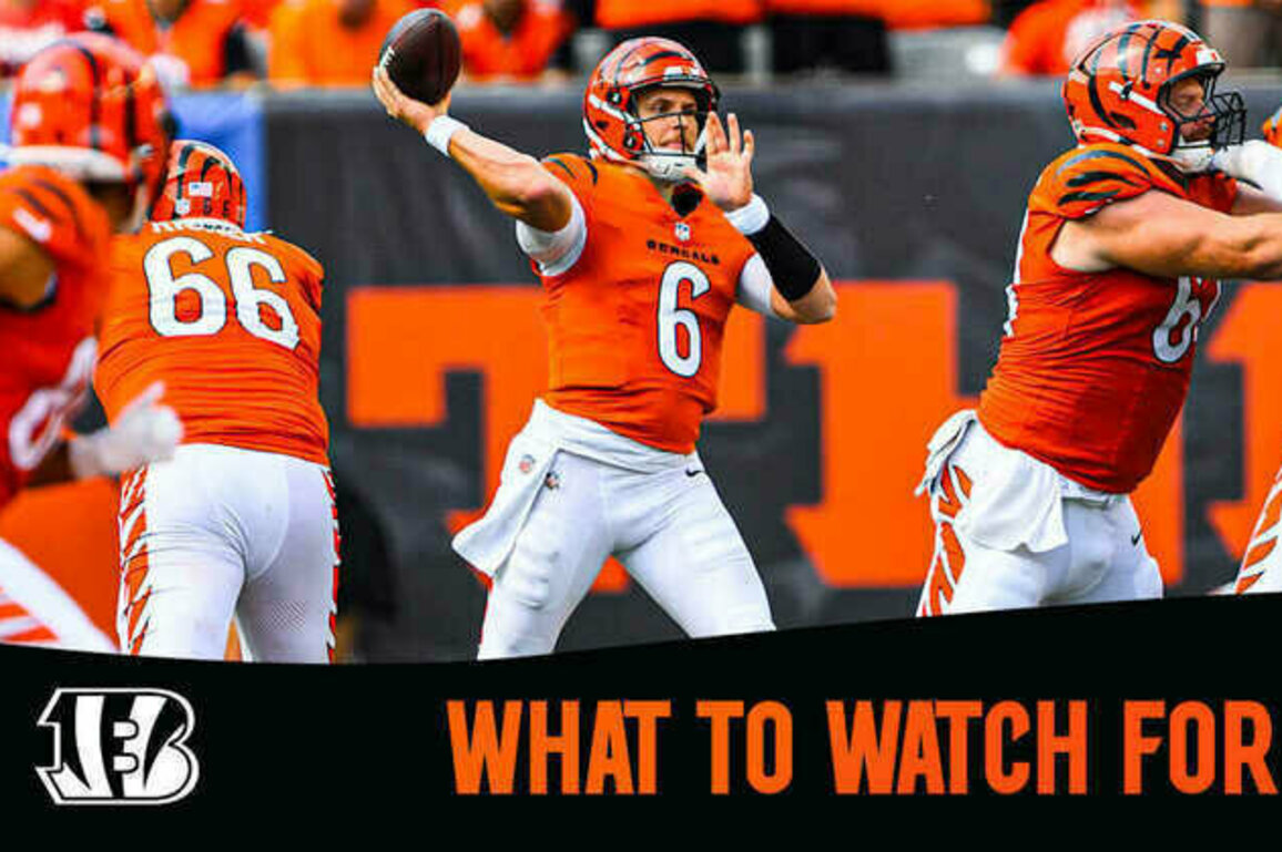 What to Watch For | Bengals at Vikings Week 3