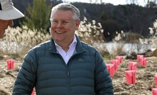 Federal environment minister Murray Watt.