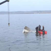MP: Death toll rises to six in Jabalpur cruise boat capsize incident