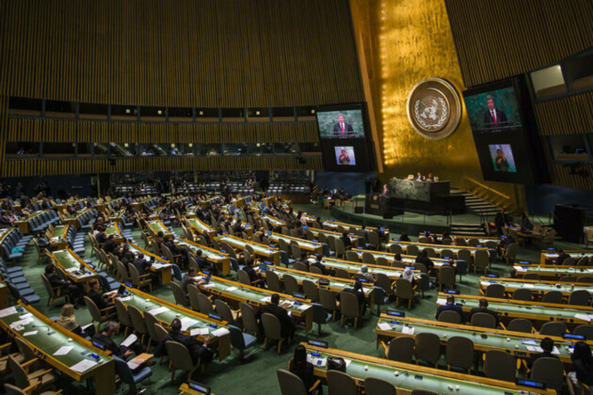 Urgent Next Steps for Palestine at the UN