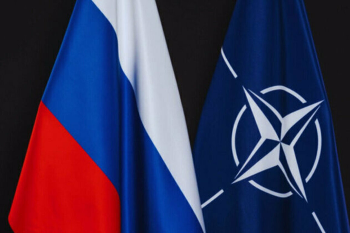 US Floats NATO-Russia Council Revival in Bid to Resolve Ukraine War