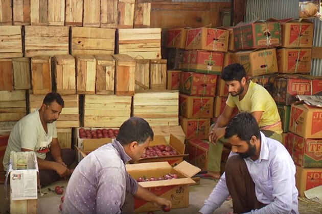 J&K: Italian Pear orchard sparks self-reliance boom in Jammu's Bhaderwah