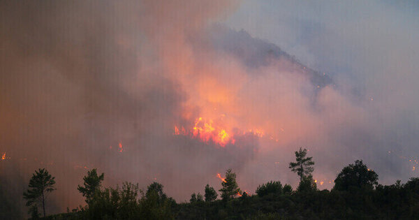 Hundreds evacuated amid massive blaze in Trkiyes Antalya