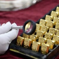 Russian gold gains offset frozen asset value  Bloomberg