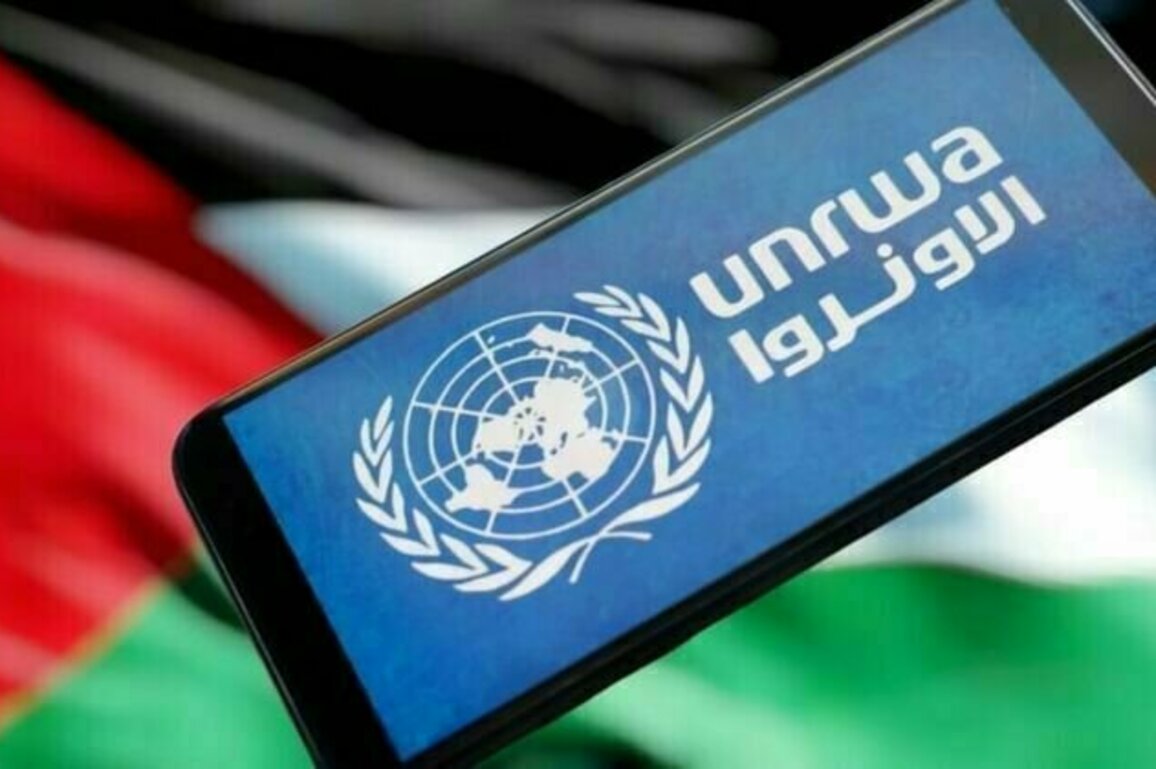 Half million newly displaced in Gaza over past month: UNRWA