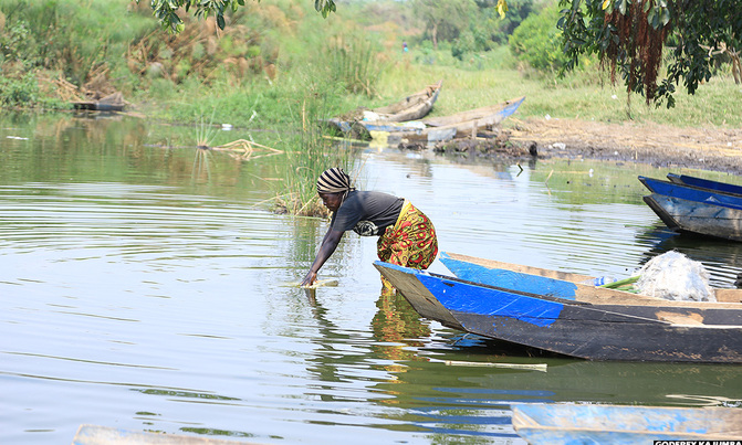 A refugees' idea to restore a degraded Ugandan lake pays off A refugees' idea to restore a degraded Ugandan lake pays off