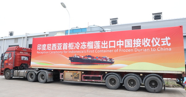 CHINA-GUANGXI-QINZHOU-INDONESIA-FROZEN DURIAN-ARRIVAL (CN)