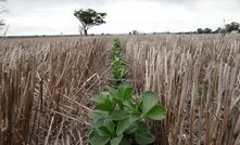 Two ag students from Victoria have won John Hanrahan Scholarships via Riverine Plains Inc.