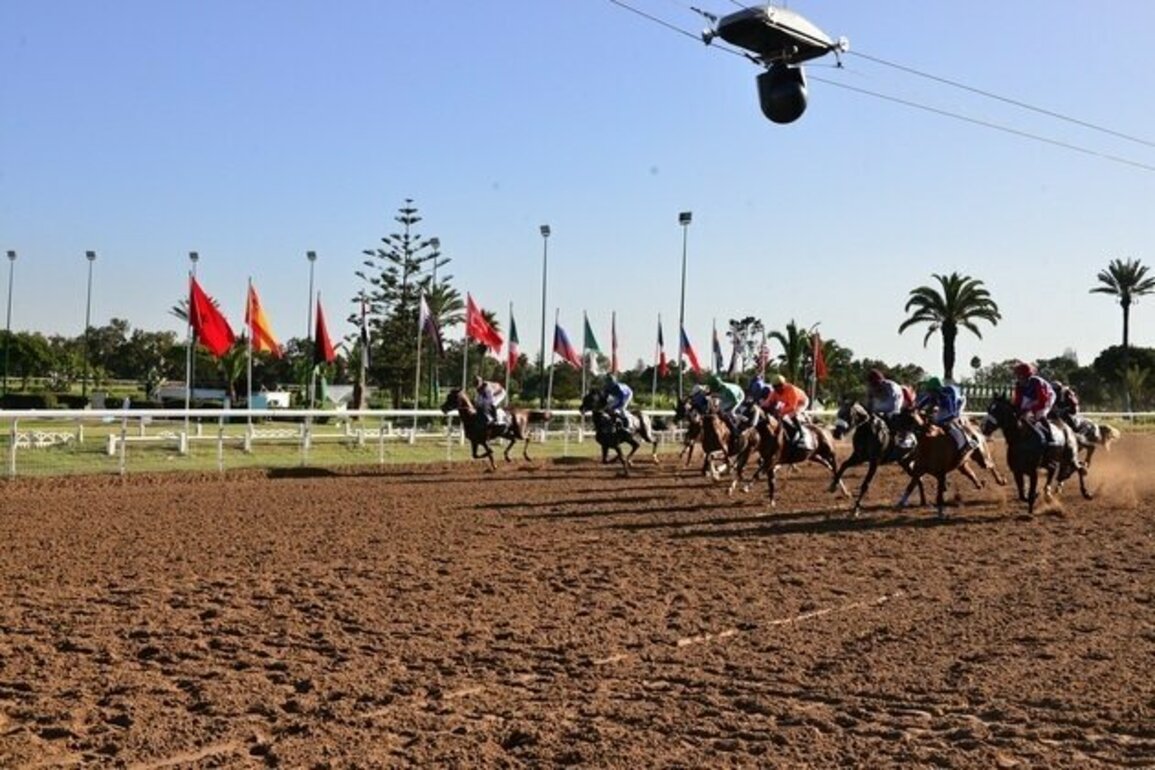 17 horses set to compete for UAE President's Cup Title tomorrow in Morocco