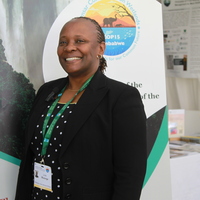 ZIMBABWE-VICTORIA FALLS-CHINA-WETLAND CONSERVATION-INTERVIEW