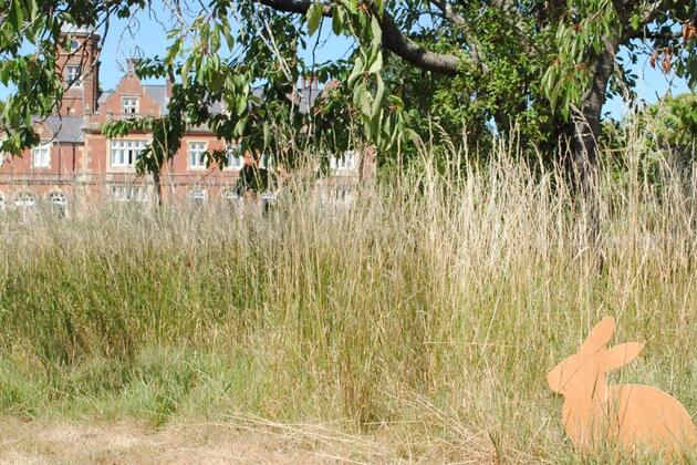 Howbery Business Park opens wildlife trail in Wallingford
